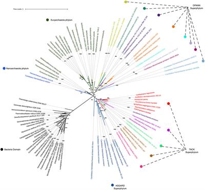 Archaeal Communities: The Microbial Phylogenomic Frontier